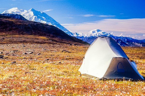 Camping in Denali National Park