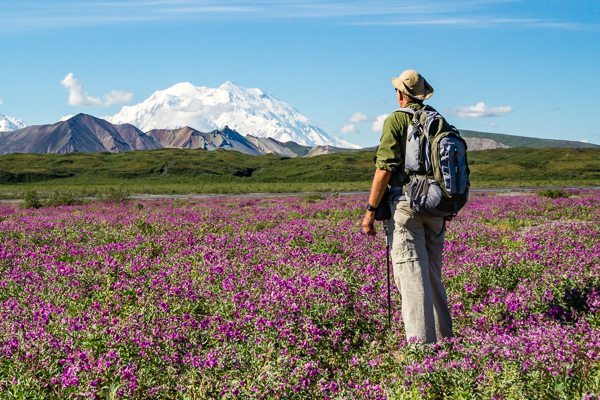 Denali National Park hiker with Mount McKinley