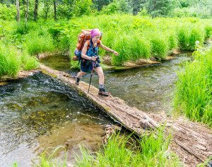 Using a log to cross a stream near the start of Ermine Hill Trail, Denali State Park, Alaska.