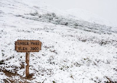 August snow on Sable Pass in August, Denali National Park, Alaska. Sign in the foreground is bear-proofed with spikes. Snow melted within the day.